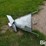 spread-all-110v-grain-spreader-image-4