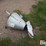 spread-all-110v-grain-spreader-image-7