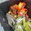 #4938-•-tote-of-ratchet-straps-and-strap-protectors-image-5