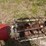 buhler-farm-king-846-image-18