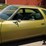 run-#138---1973-chevrolet-chevelle-coupe-image-15