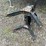 #4932-•-husky-15k-camper-5th-wheel-hitch-image-6