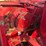 new-idea-7210-image-8