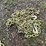 #4933-•-(4)-1/4"-chains-with-hooks-image-8