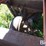 5th-wheel-trailer-w/185-bu-gravity-box-&-drill-fill-image-11