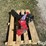 shocker-gooseneck-surge-air-hitch-image-4