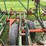 #4915-•-glencoe-field-cultivator-with-3-bar-harrow-image-12