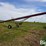 buhler-farm-king-846-image-7
