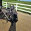new-holland-590-image-28