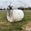 1000-gal-fuel-barrel-image-1