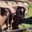 2013-deere-624k-image-20