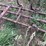 11'6"-field-cultivator-image-20