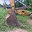 #2038-•-cat-e240b-image-24