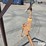 pallet-fork-rack-image-14