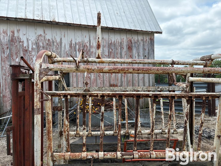 livestock-chute-image-17