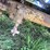 timpte-hopper-image-15