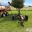 new-idea-252-image-2