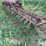 steel-13.5’-3-pt-harrow/drag-image-13