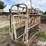 livestock-chute-image-1
