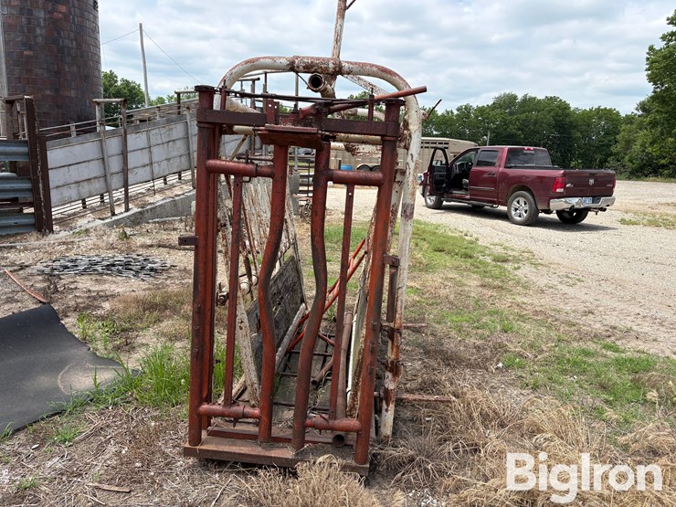 livestock-chute-image-7