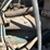 1990-international-durastar-4400-image-33
