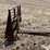 skid-steer-fork-attachment-image-2