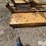 rhino-sat7-image-11