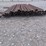 #2014-•-oilwell-steel-posts-(2-7/8"-x-9')-60-count-image-2