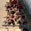 (4x$)-assorted-150-ton-dp-elevators-image-3