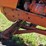 1970-allis-chalmers-190xt-image-9