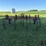 brillion-cpp02-image-6