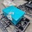 #329-•-2026-land-honor-ratchet-straps-and-storage-box-image-11