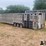 2018-wilson-livestock-trailer-image-7