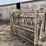 livestock-chute-image-4