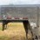 2018-wilson-livestock-trailer-image-13