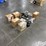 raven-precision-equipment-image-7