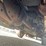 2009-ford-f250-xlt-image-29