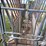 manual-livestock-chute-image-20