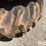 john-deere-4430-image-20