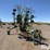 2018-krone-swadro-tc760-image-3
