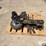 lil-thumper-planter-fertilizer-pump/drive-image-8