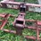 #2048-•-sunflower-chisel-plow-image-4