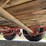 2006-hydro-tek-t/a-towable-hot-pressure-washing-system-image-38