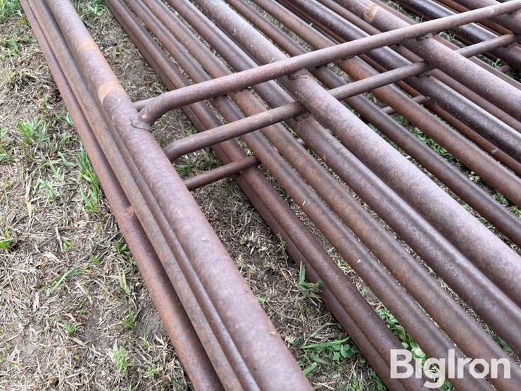 24'-continuous-6-bar-fencing-image-17