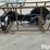 2026-massey-ferguson-730-image-4
