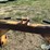 field-master-3-pt-quick-hitch-image-14