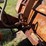 jcb-407-image-23