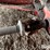 george-white-90449k-3-pt-snow-blower-image-12