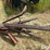 1991-case-ih-1020-image-18