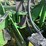 2008-john-deere-1770nt-ccs-image-16